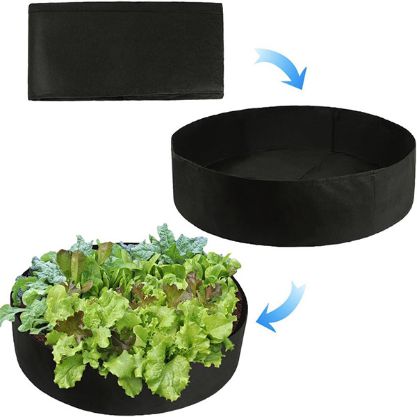 PLANTIE