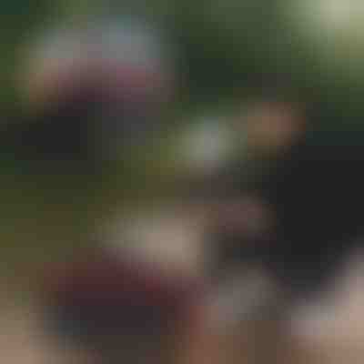 Πτυσσόμενος κουβάς για ψάρεμα | RIBETINA