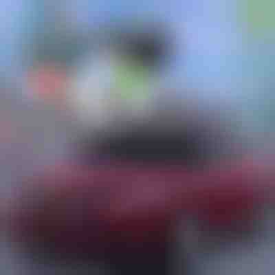 Κάλυμμα που αποτρέπει το πάγωμα του παρμπρίζ | CARCOVER