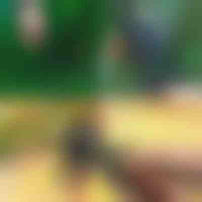 Επαγγελματικό Ψαλίδι Κλαδέματος και Εμβολιασμού 2-σε-1 | MASTERCUT